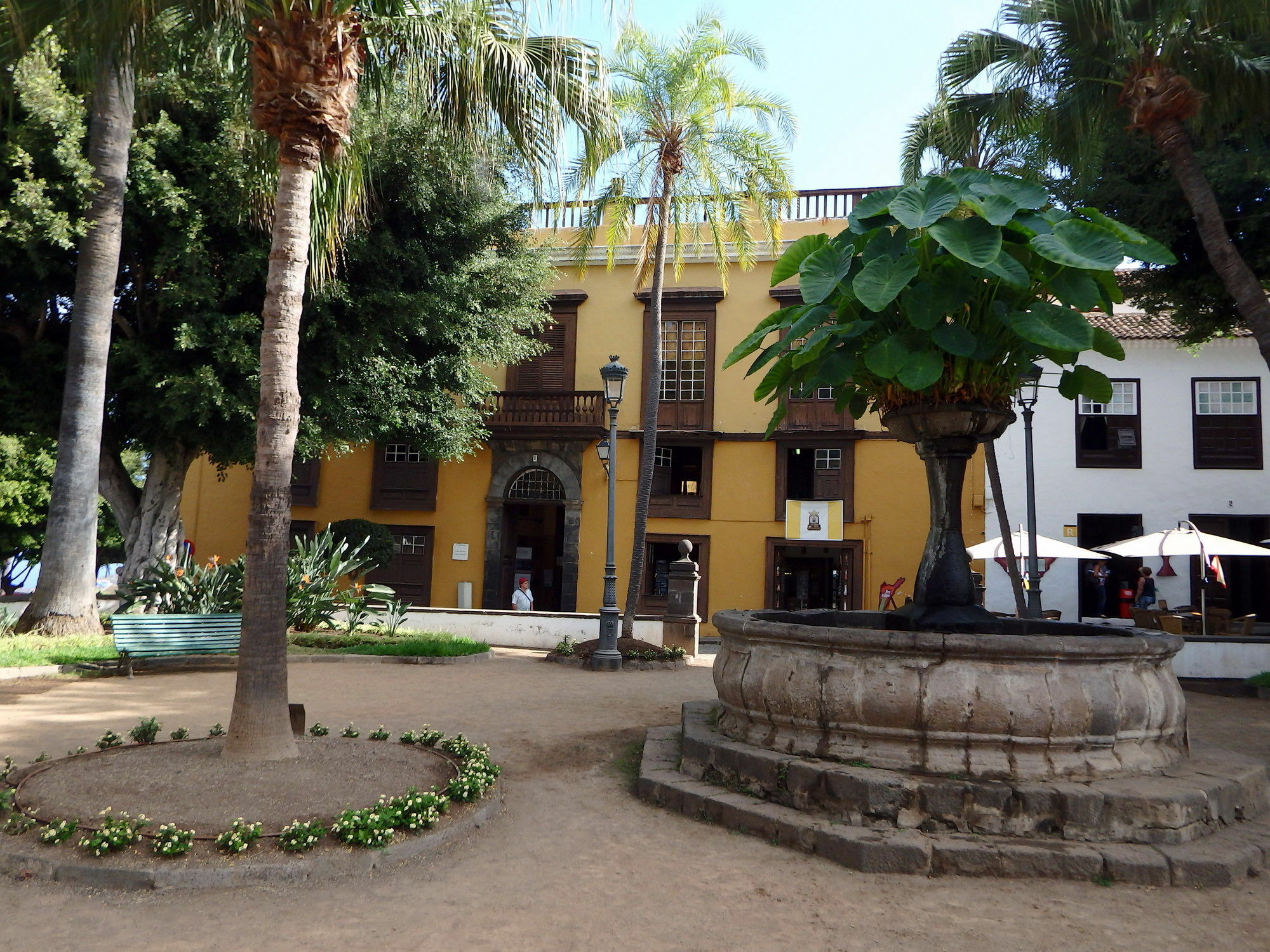 Studio Atlantic View Icod De Los Vinos Exterior photo