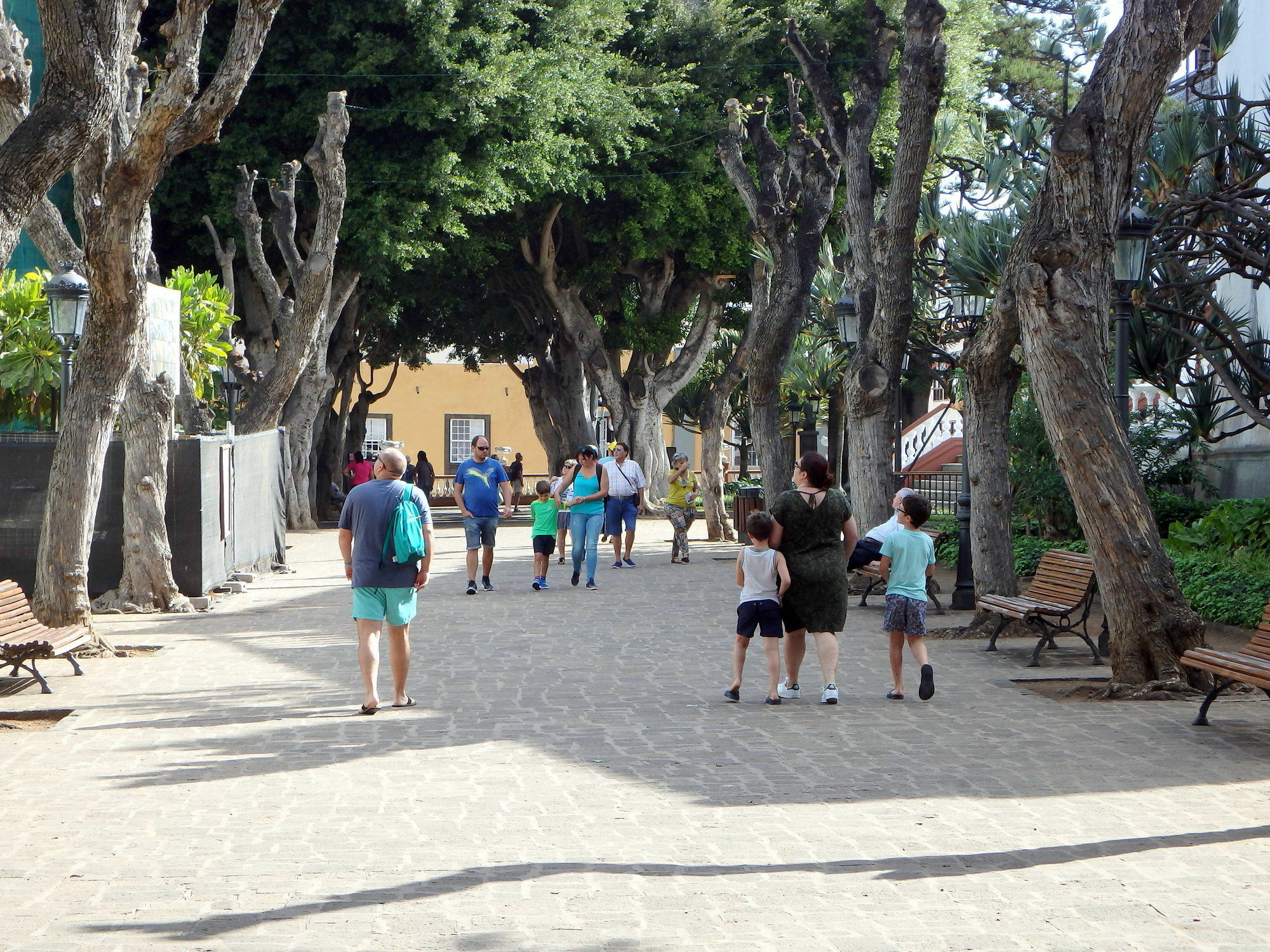 Studio Atlantic View Icod De Los Vinos Exterior photo